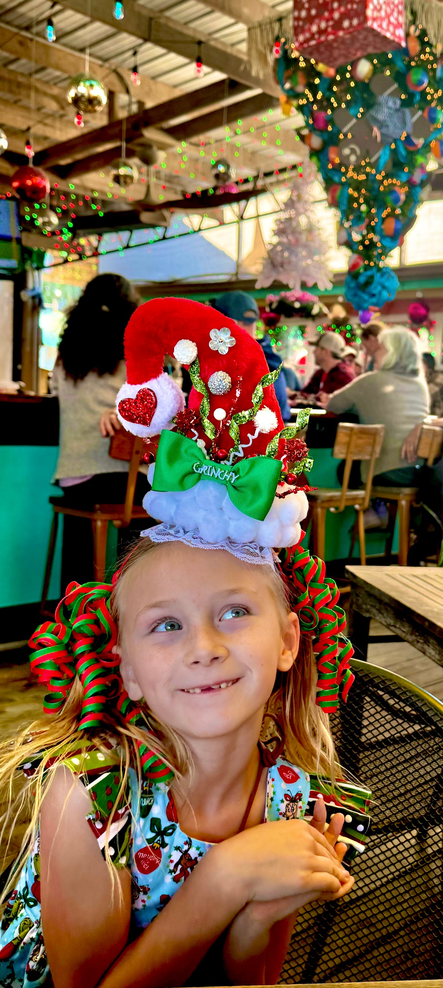 Grinch Christmas Hat, Grinch Santa Hat